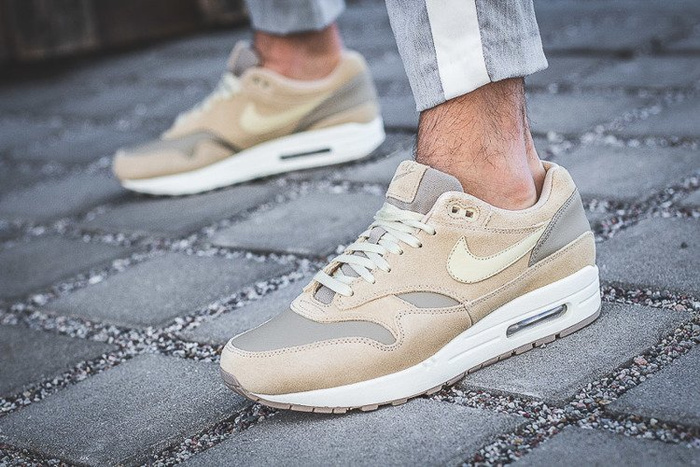 Nike Air Max 1 Premium Leather (AH9902-201)