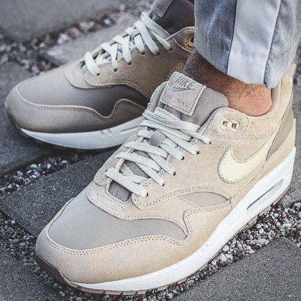 Nike Air Max 1 Premium Leather (AH9902-201)