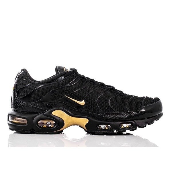 Nike Air Max Plus (852630-022)