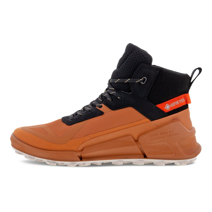Ecco BIOM 2.1 X MTN W MID GTX