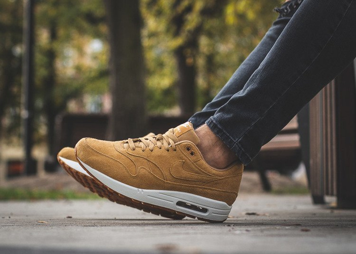 Nike Air Max 1 Premium (875844-203)