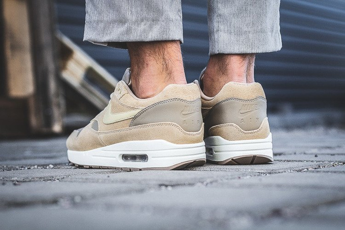 Nike Air Max 1 Premium Leather (AH9902-201)