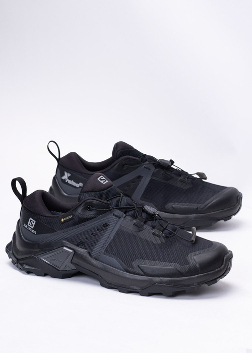 Salomon X Raise GTX