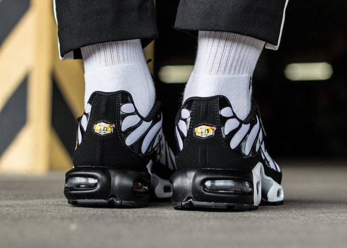 Nike Air Max Plus (852630-032)