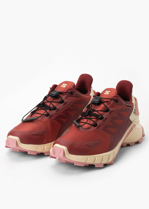 SALOMON SUPERCROSS 4 GTX W 