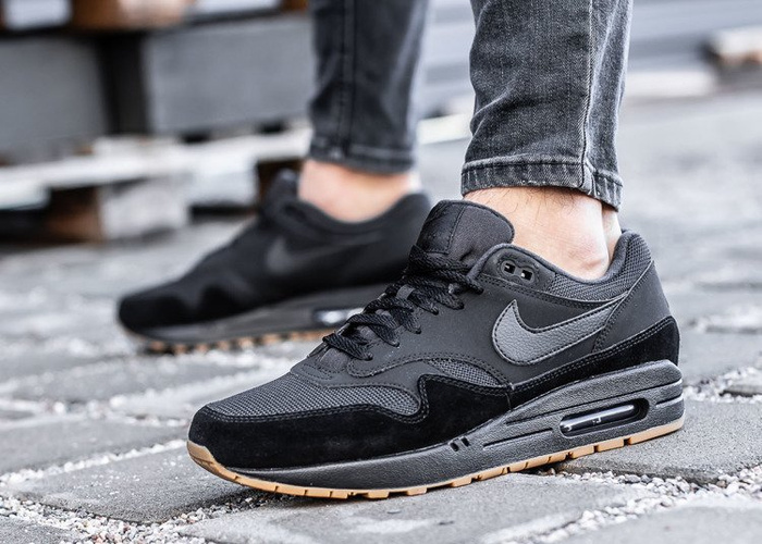 Nike Air Max 1 (AH8145-007)