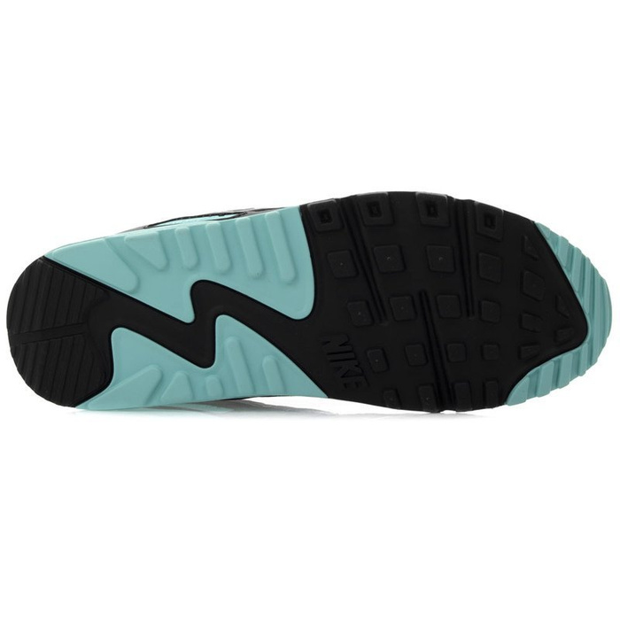 Nike W Air Max 90 (CD0490-104)