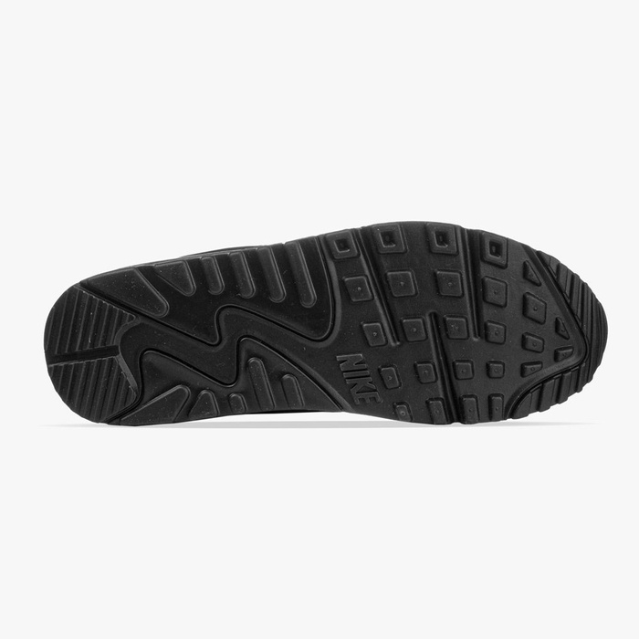 Nike Air Max 90 (CN8490-003)