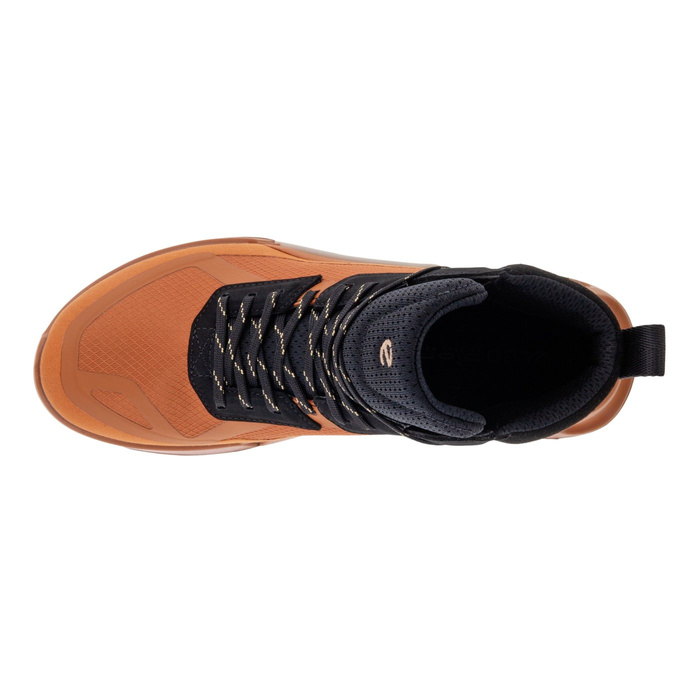 Ecco BIOM 2.1 X MTN W MID GTX