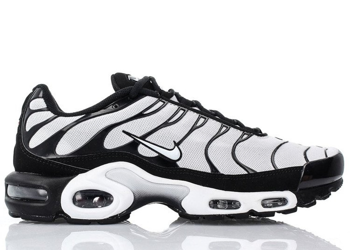 Nike Air Max Plus (852630-032)
