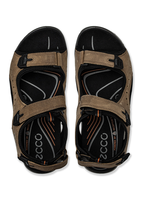 Ecco Andes II M Sandal