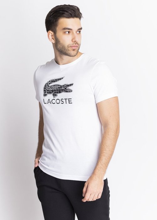 Lacoste T-Shirts (TH2090-AU8)