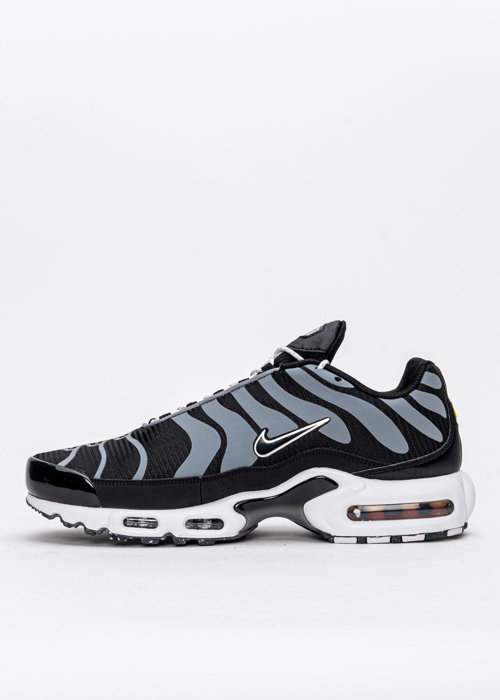 Nike Air Max Plus (DM2466-001)