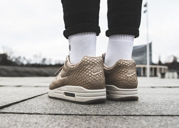 Nike Wmns Air Max 1 Premium (454746-900)