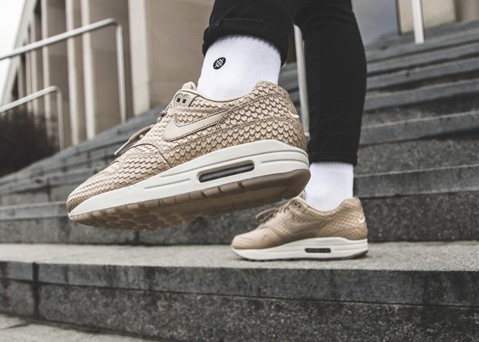 Nike Wmns Air Max 1 Premium (454746-900)